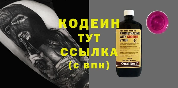 мдпв Бородино