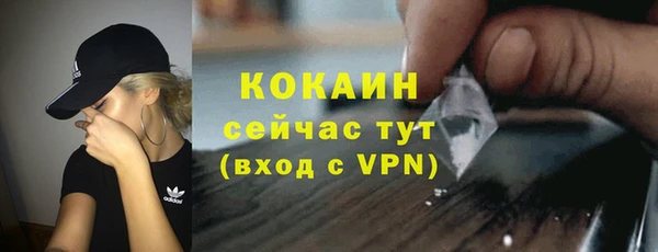 прущие грибы Сосновка