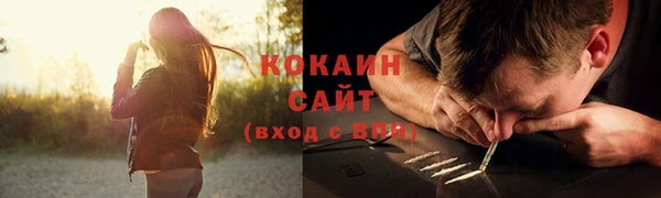 мдпв Бородино