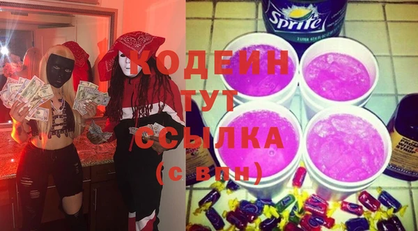 мдпв Бородино