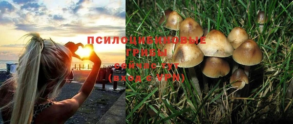 MDMA Premium VHQ Богородск
