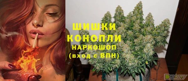 мдпв Богородицк