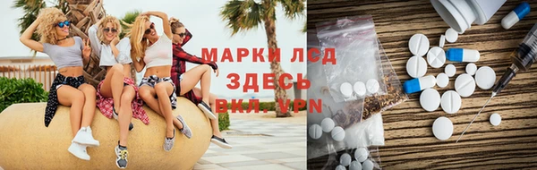 мдпв Бородино
