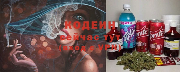 мдпв Бородино