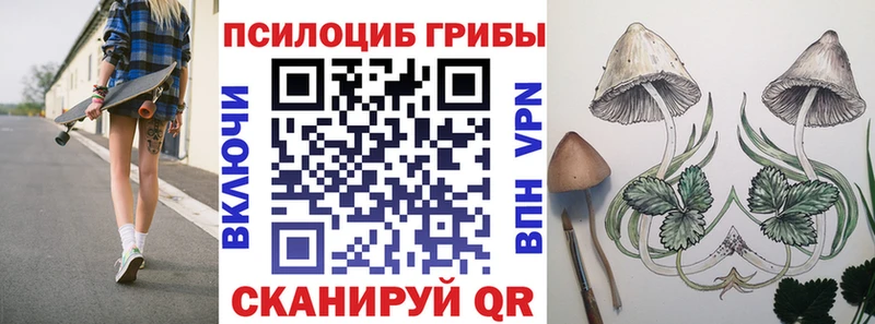 Галлюциногенные грибы мицелий  даркнет сайт  Гурьевск 